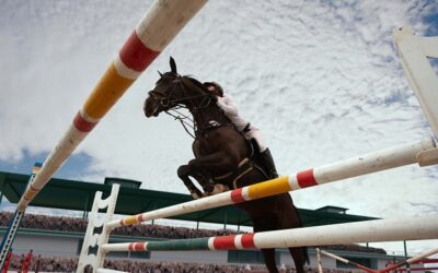 Ostacoli per cavalli: progettare percorsi che migliorano tecnica e performance